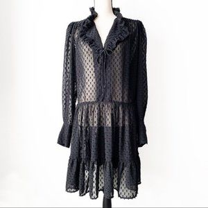 H&M Sheer Swiss Dot Ruffle Dress